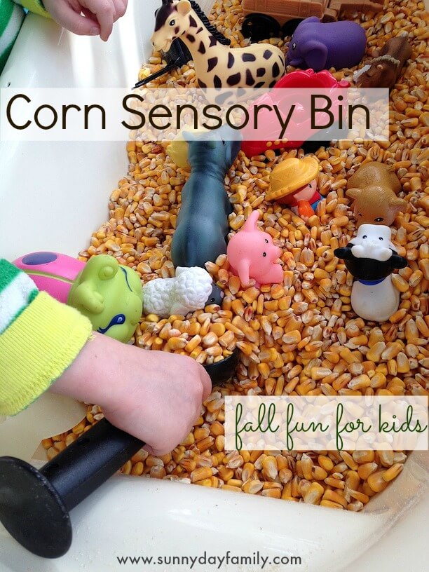 Corn Sensory Bin for Fall Farm Fun